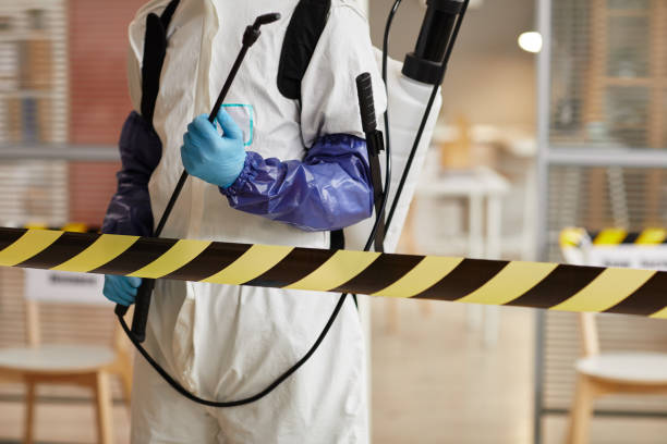 Professional Sewage Cleanup technician working in Tupman, CA